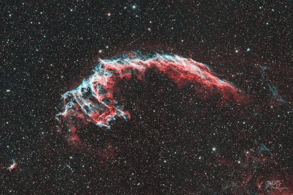 Grande dentelle du cygne