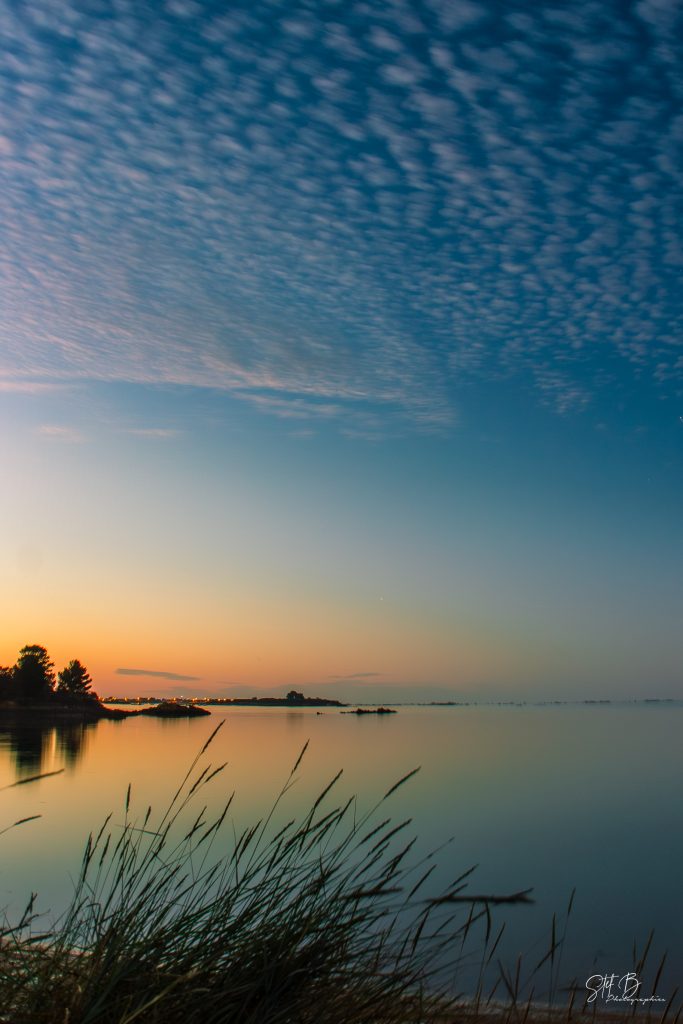 L’Ile a bois